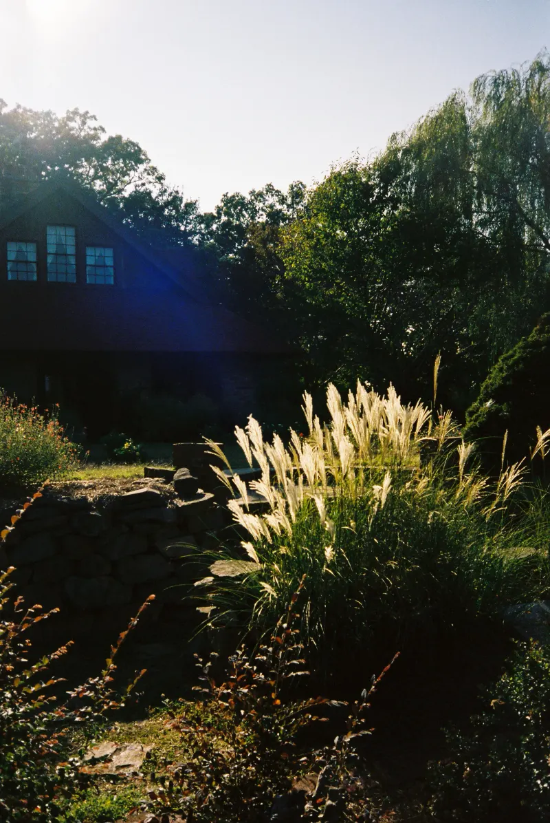 35mm Film Photography — photograph 36
