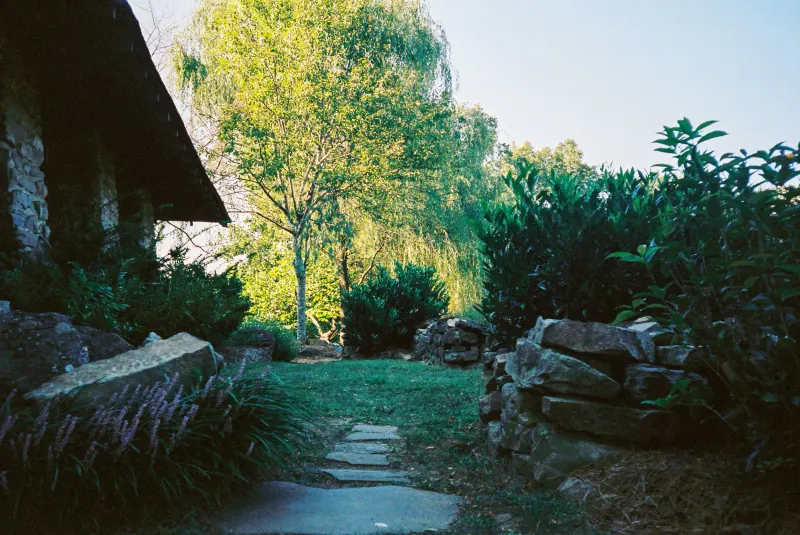 35mm Film Photography — photograph 35