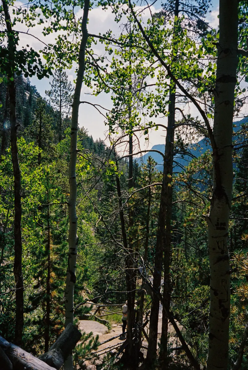 35mm Film Photography — photograph 10