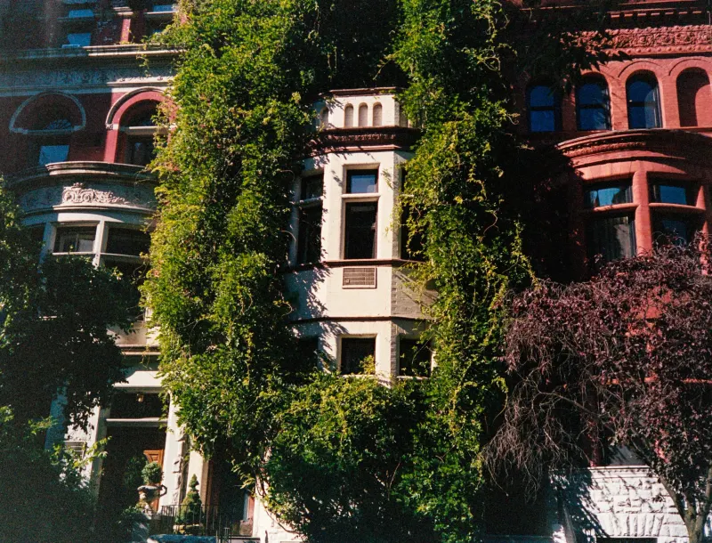 35mm Film Photography — photograph 45