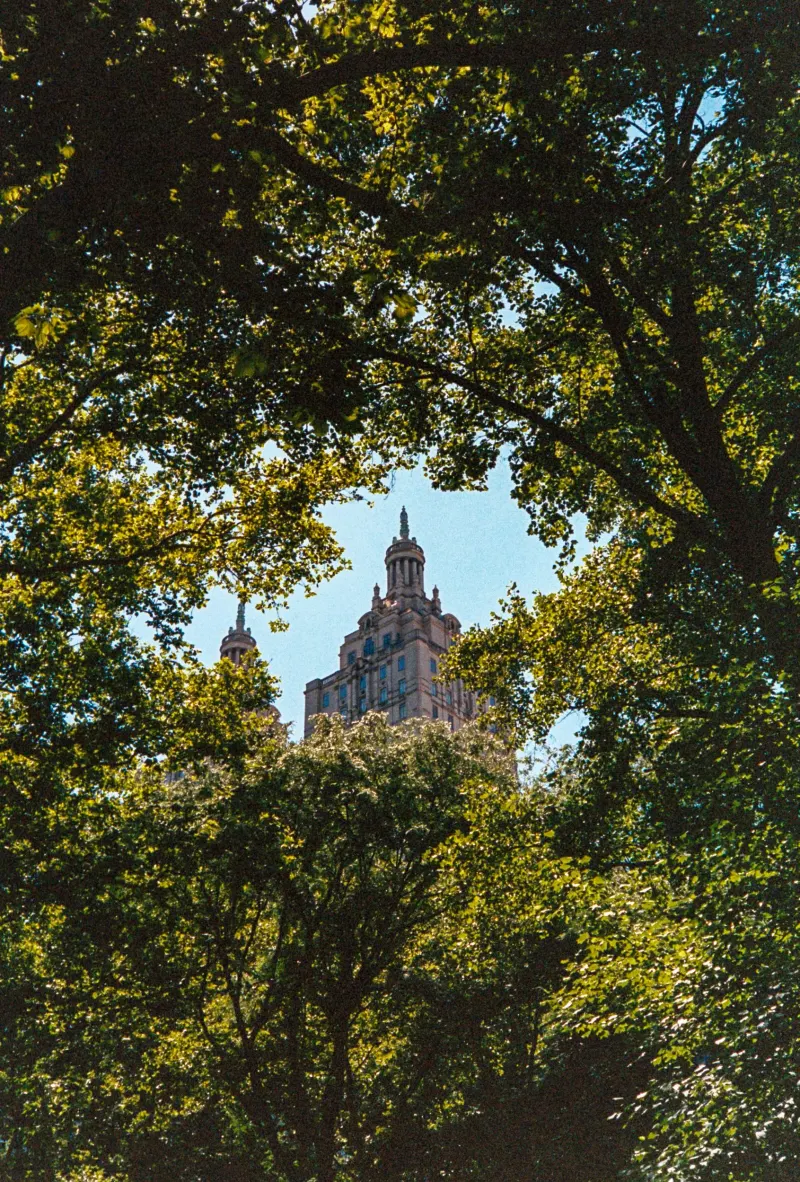 35mm Film Photography — photograph 44