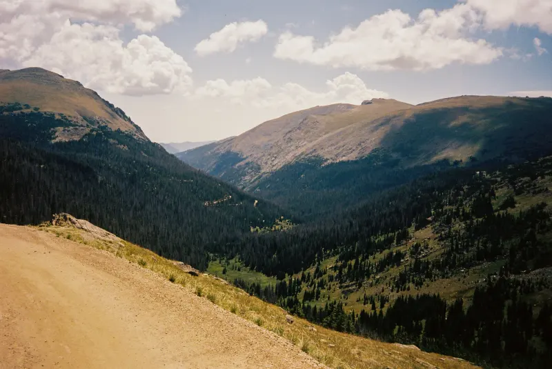 35mm Film Photography — photograph 20