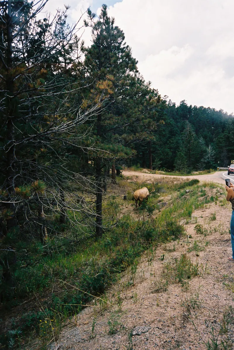 35mm Film Photography — photograph 29