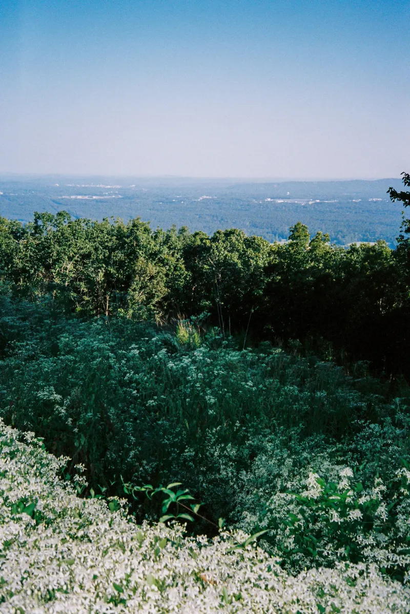 35mm Film Photography — photograph 37