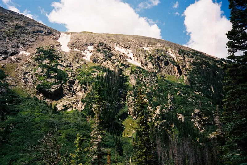 35mm Film Photography — photograph 17
