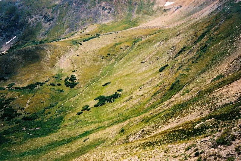 35mm Film Photography — photograph 22