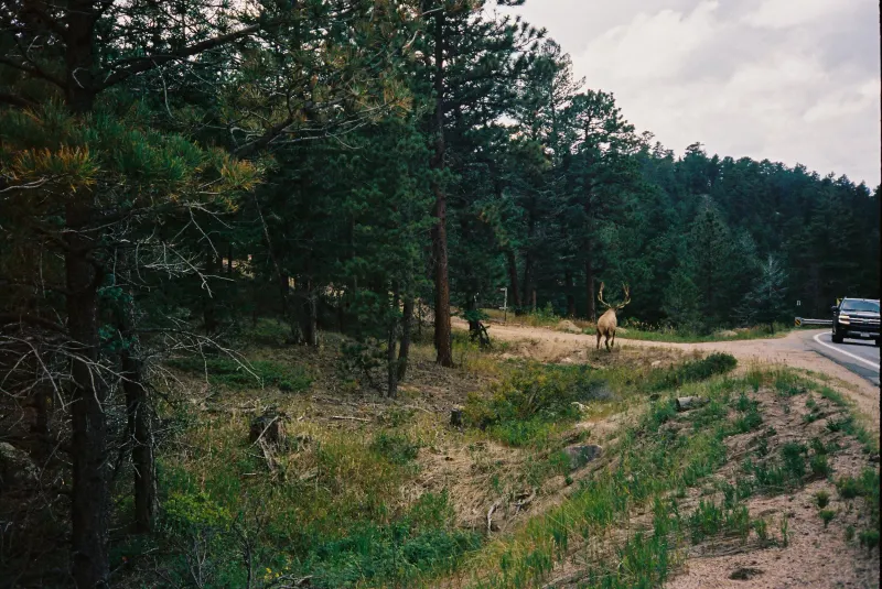 35mm Film Photography — photograph 30