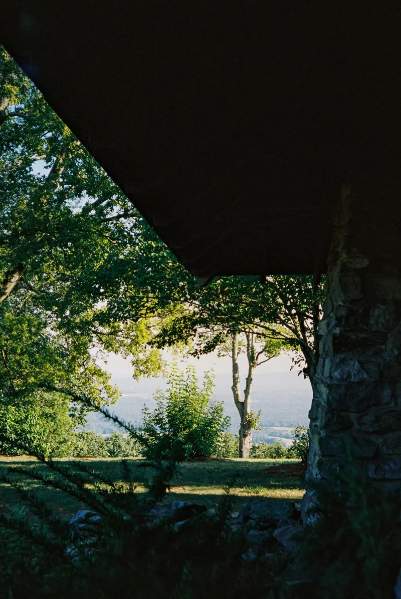 35mm Film Photography — photograph 33