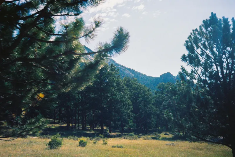 35mm Film Photography — photograph 9