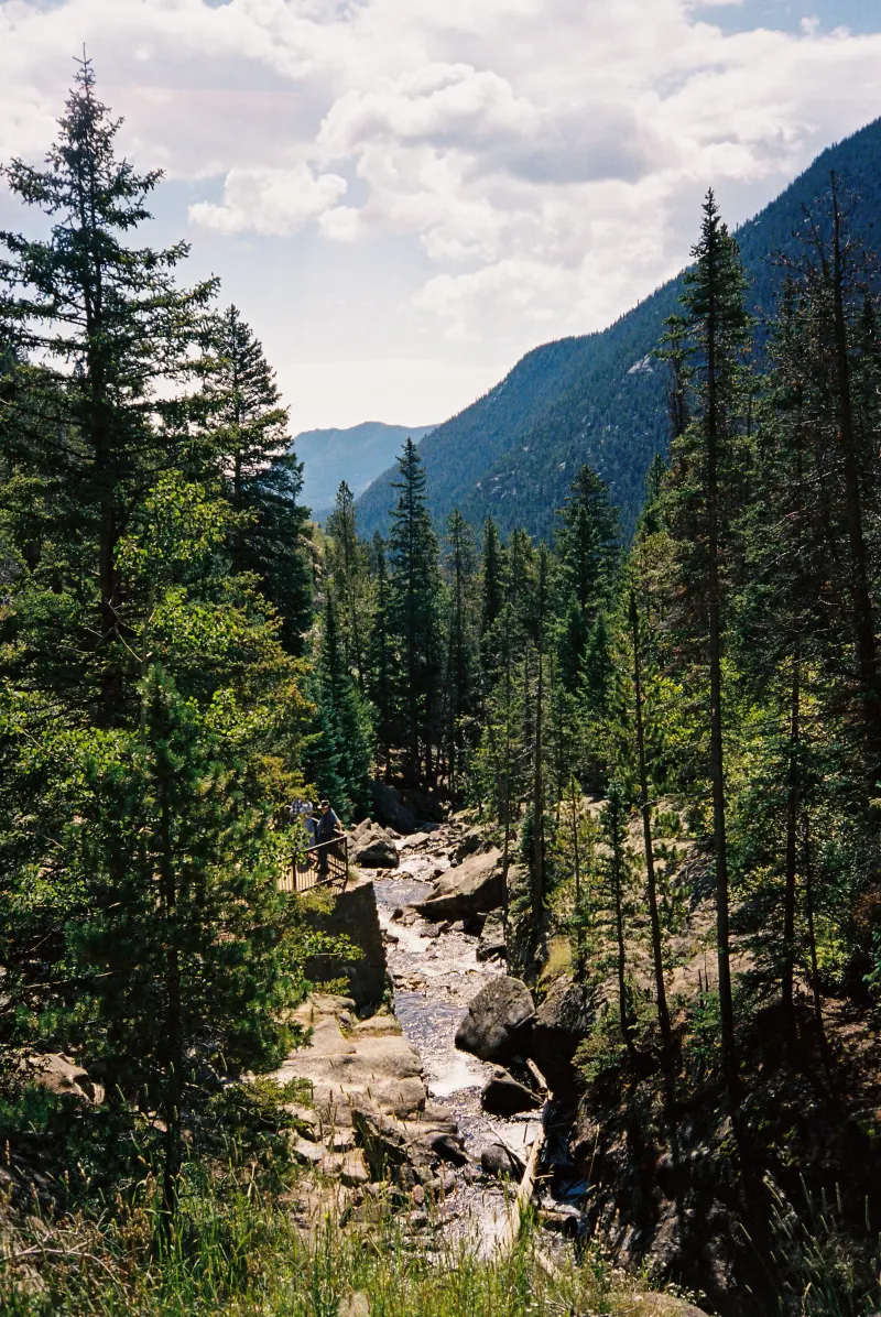 35mm Film Photography — photograph 12