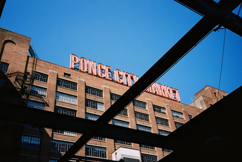 35mm Film Photography — photograph 31
