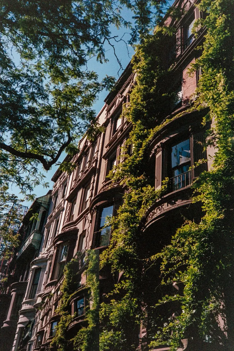 35mm Film Photography — photograph 3
