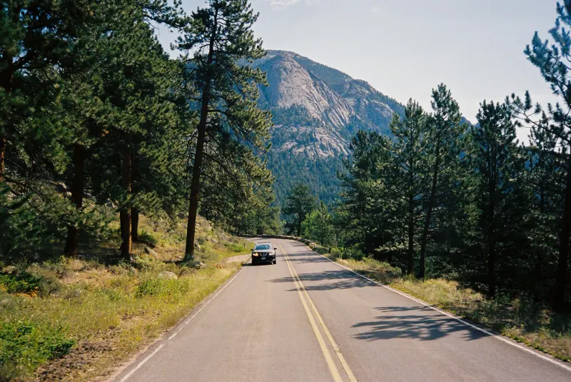 35mm Film Photography — photograph 2