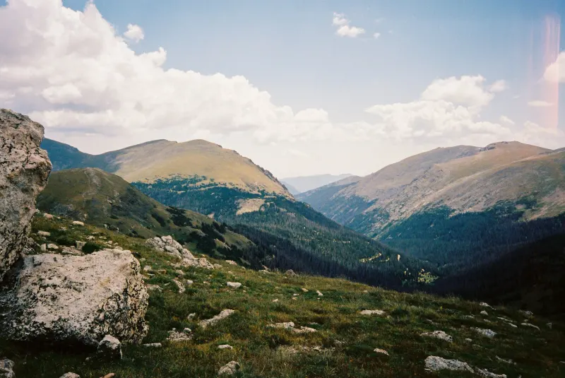 35mm Film Photography — photograph 23