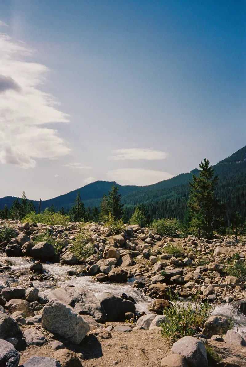 35mm Film Photography — photograph 4