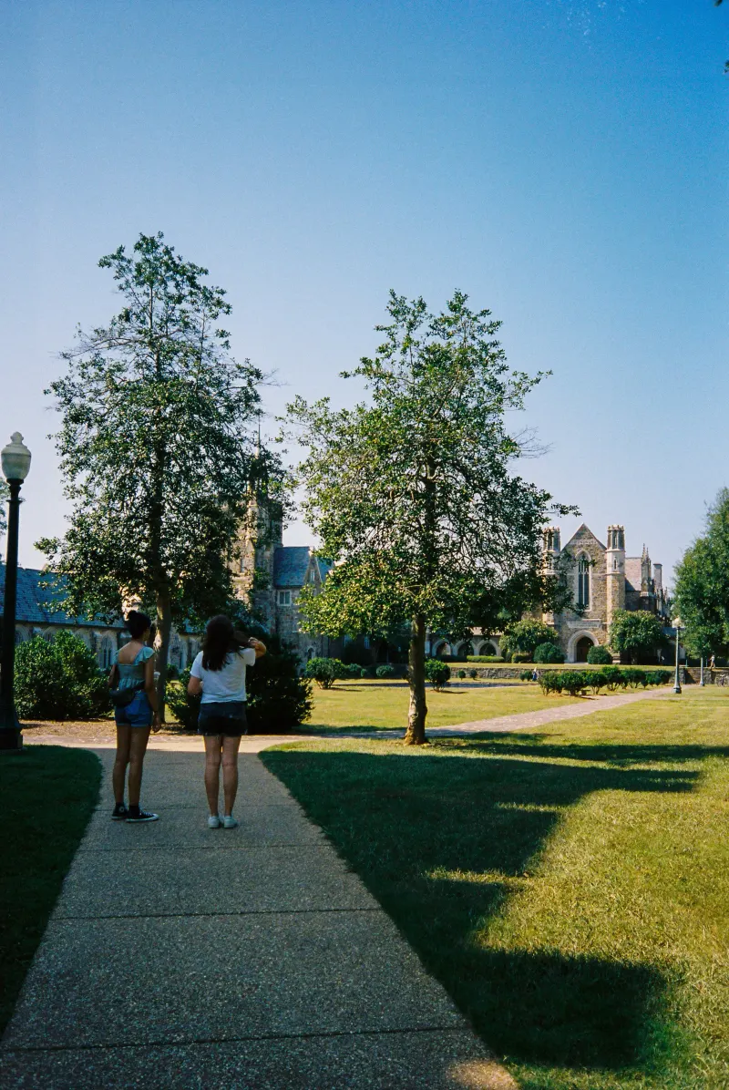 35mm Film Photography — photograph 32
