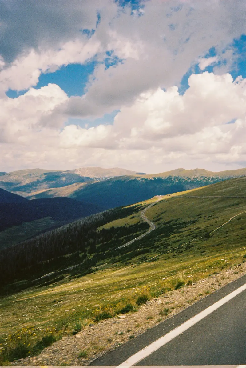 35mm Film Photography — photograph 24
