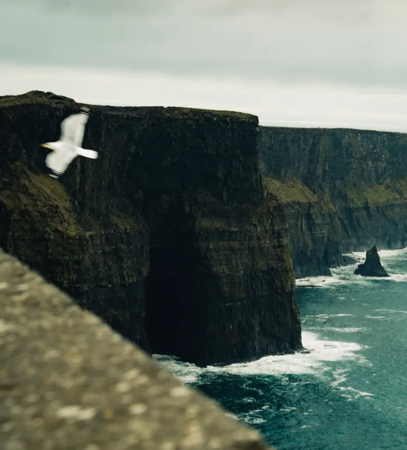 Cliffs of Moher, Ireland — photograph 3