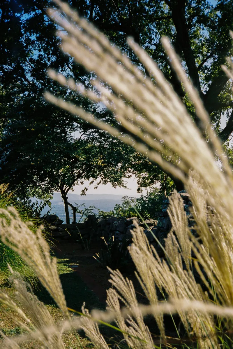 35mm Film Photography — photograph 6