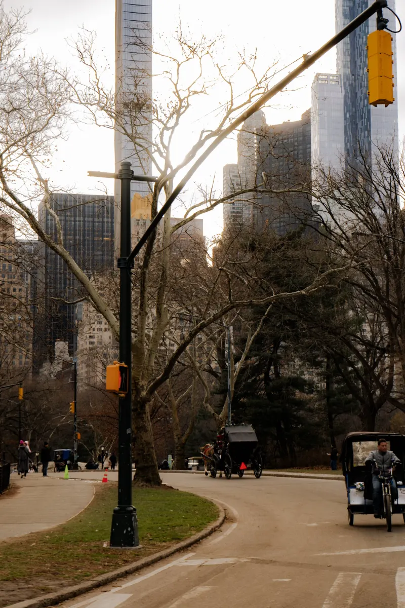 New York City — photograph 19